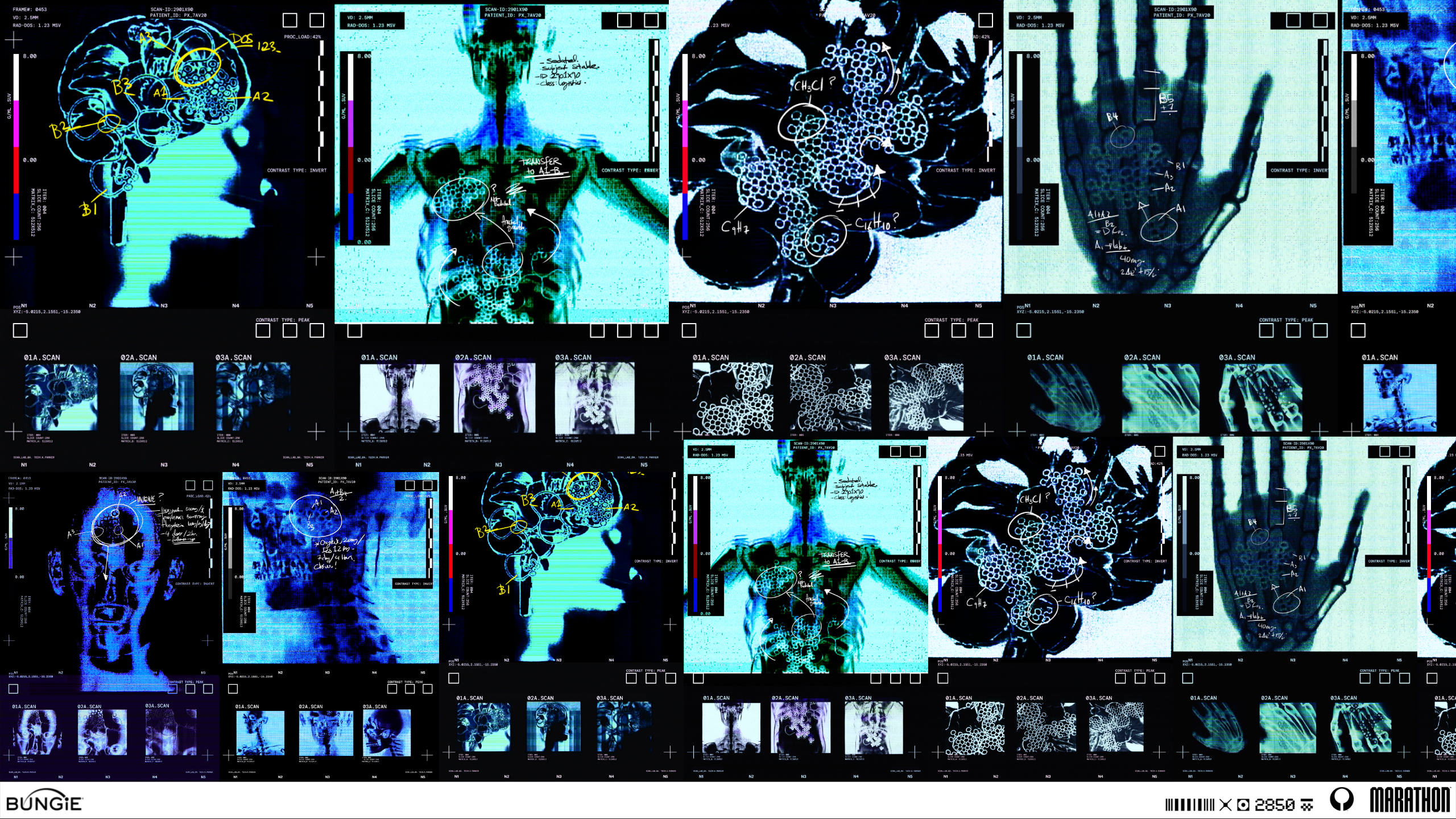 Marathon plate 06